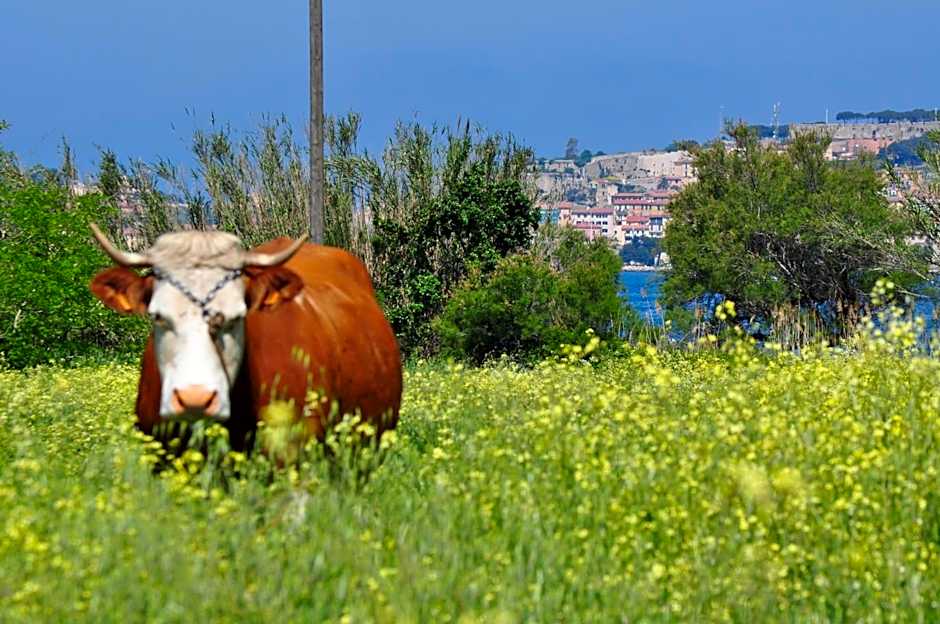 Hotel Tirrena Bike & Country Hotel
