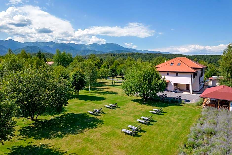 Pensiunea Negoiu