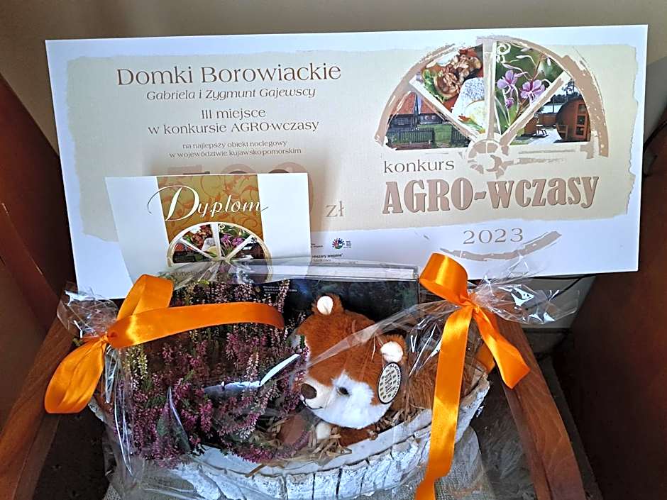 Domki Borowiackie nad brzegiem jeziora