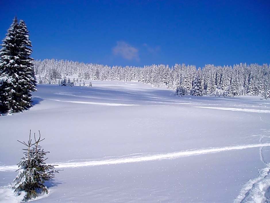Chalet-Hôtel du Borderan