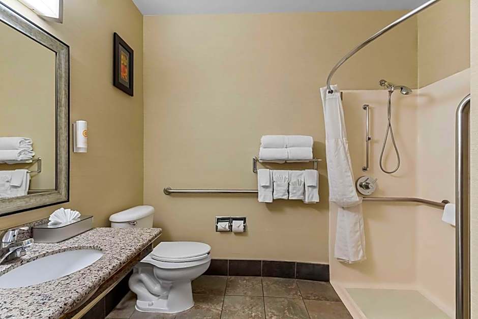 Comfort Suites Denver Tech Center/Englewood