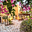 Vagia Traditional, Aegina Island
