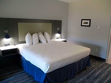 Suite-1 King Bed Nsmk Sofbd Micrfg Full Breakfast