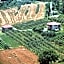 B&B Il Girasole - Rooms & House in country - air conditioned - 1500 meters from historic center