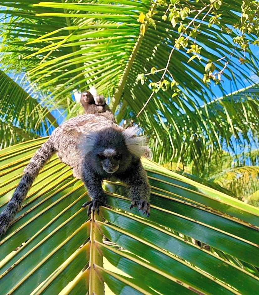 CHALÉ CAPOEIRA DOS MILAGRES