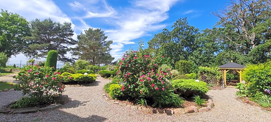 Dom Na Bukowym Wzgórzu