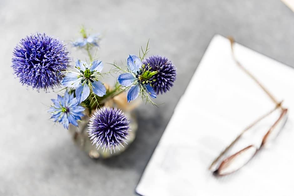 Meisser Romantica "adults only"