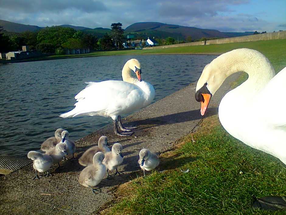 Min y Don Guest House