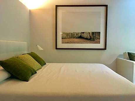 Double or Twin Room with Terrace