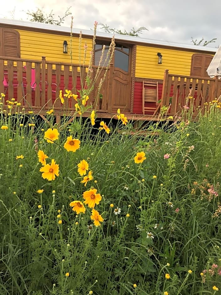 la roulotte de l'ami nature