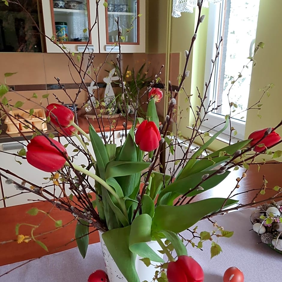 Domki i Apartamenty Rogate Anioły