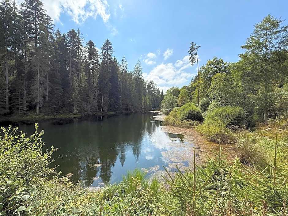 Schwarzwaldhotel Oberwiesenhof