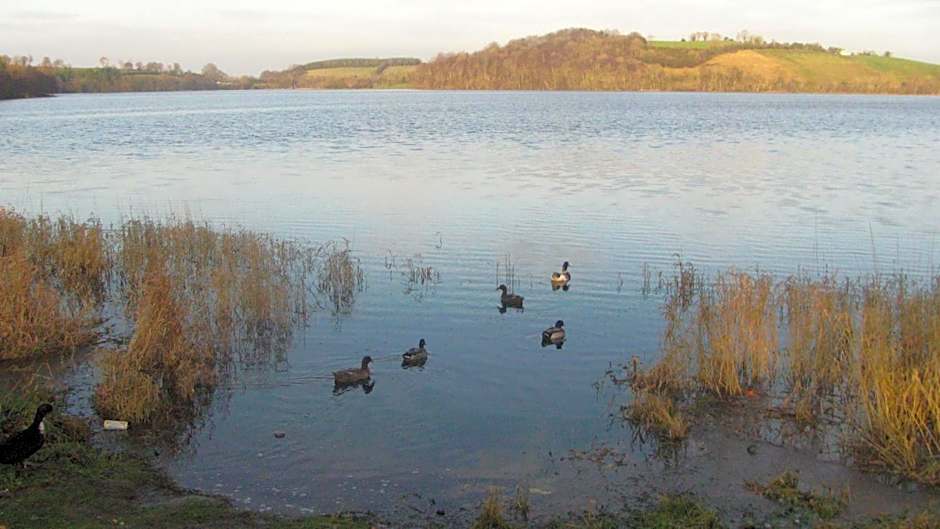 Grangeview House B&B