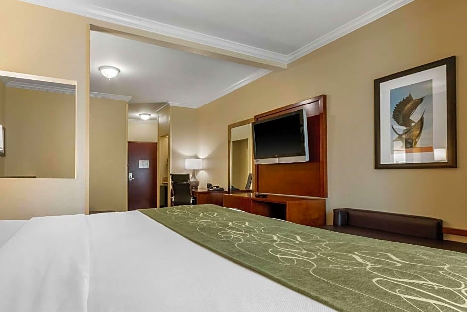 Comfort Suites Central