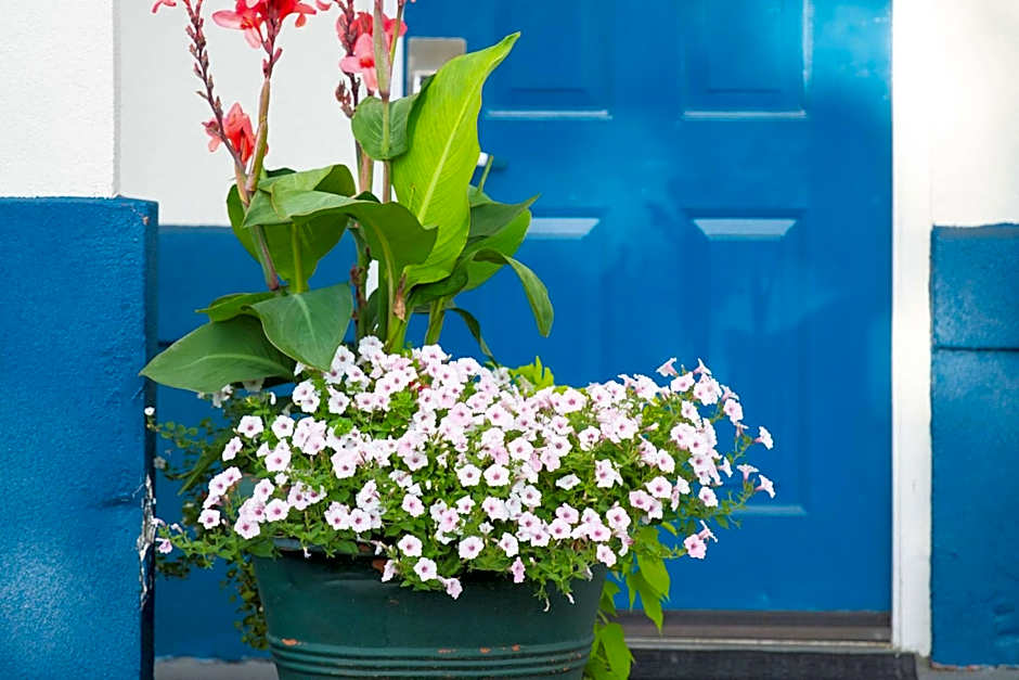 Rodeway Inn Middletown - Newport