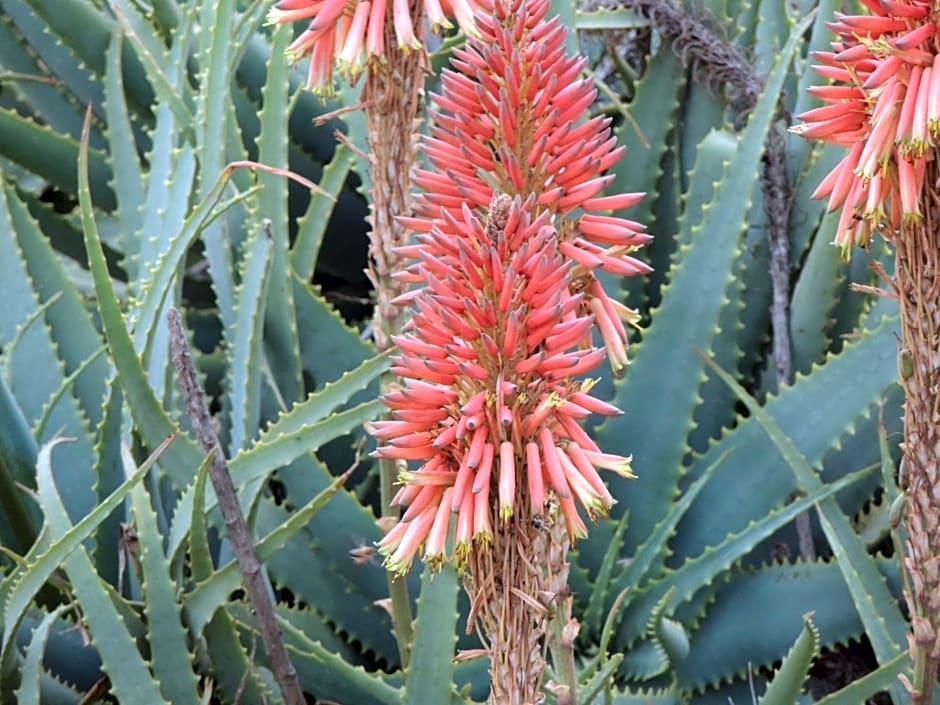 Karibu River Retreat