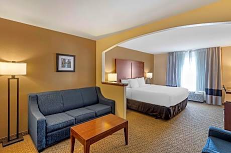 1 King Bed, Suite, Nonsmoking