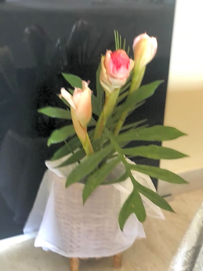 Pousada Casa Ferreira