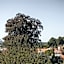 Suiten Zantl