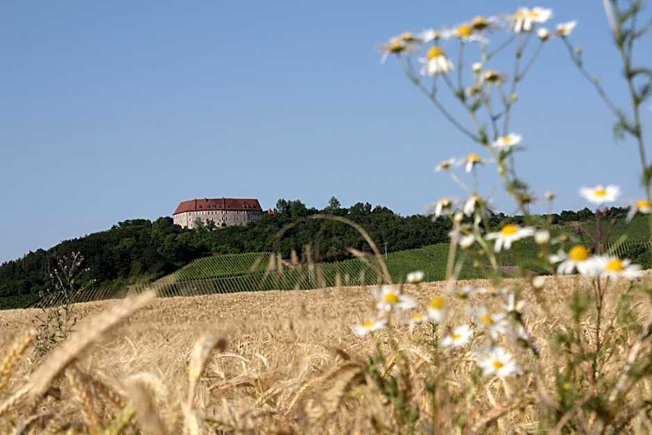 Schwarzer Adler - Hotel Garni