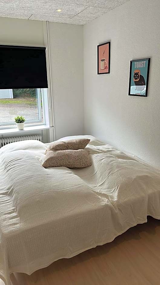 Billund mini hostel room 10 - Tæt på LEGOLAND og LEGO House