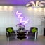 Orchid Key Inn-Adult Only