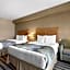 Best Western King George Inn And Suites