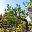 Villa Caterina - Solemar Sicilia