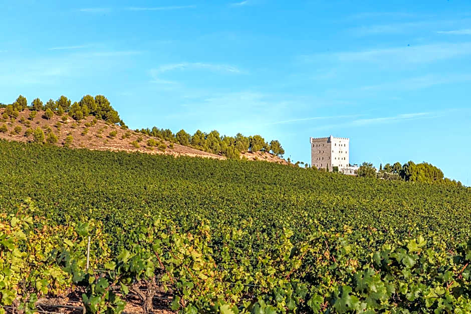 Hotel Pago De Cirsus