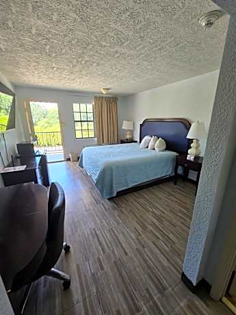 Single Room - Disability Access