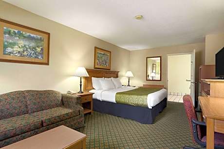 1 King Bed Mobility Accessible Room Non-Smoking