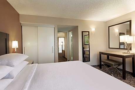 One King Bed Suite with Walk-In Shower
