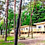 Jeleń
