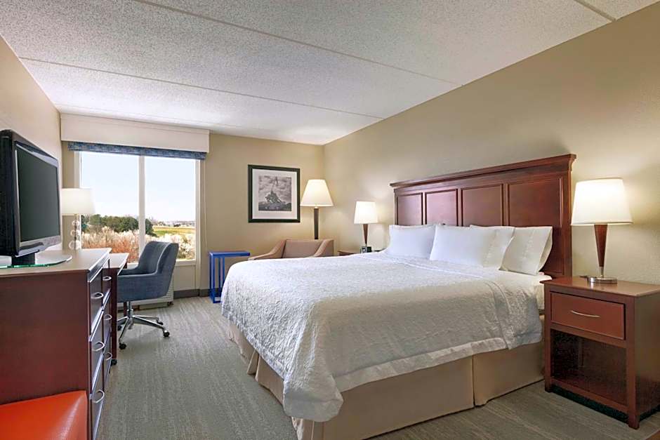 Hampton Inn By Hilton Dulles/Cascades