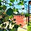 Casa Olivea - MYA Hotel