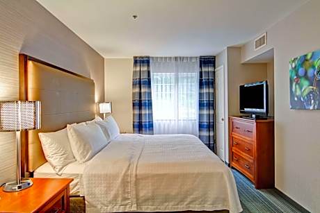 1 King Bed 1 Bedroom Suite-600 Sf-Sofa Bed-Ns