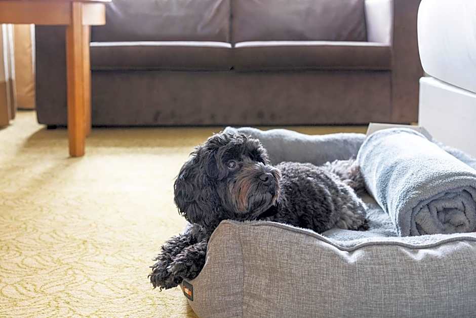 Bournemouth Highcliff Marriott Hotel