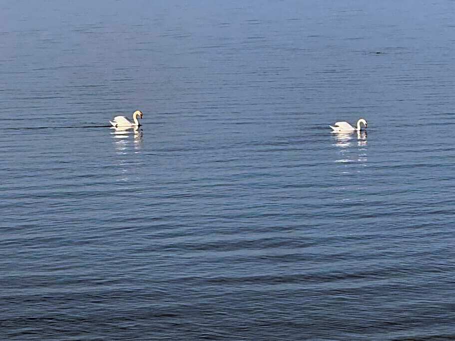 Tranquil ski golf spa