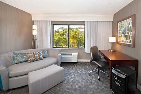 Allergy Friendly King Room