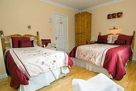 Deluxe Double or Twin Room with Garden View