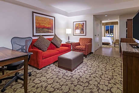 1 King Bed Junior Suite With Sofabed Living Area-comp Wifi-bed W/adjust Firm Dial Hi Def.flat Screen