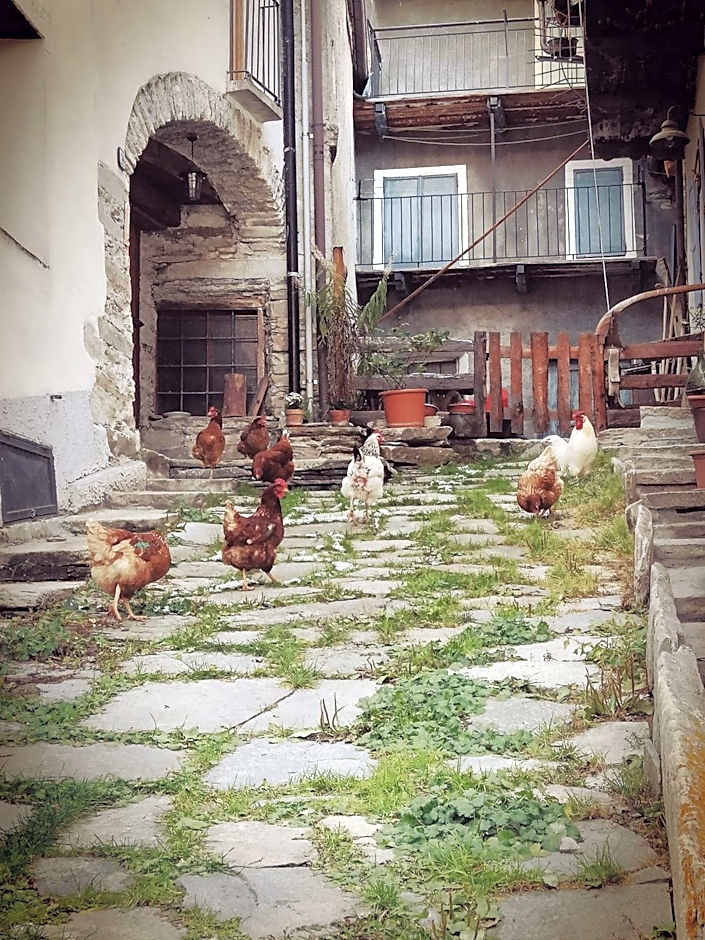 Osteria l'iero d'Eima'