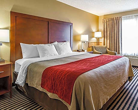 1 King Bed Nonsmoking