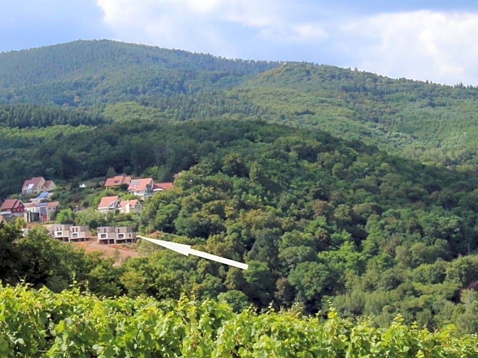 Terrasses d'Alsace