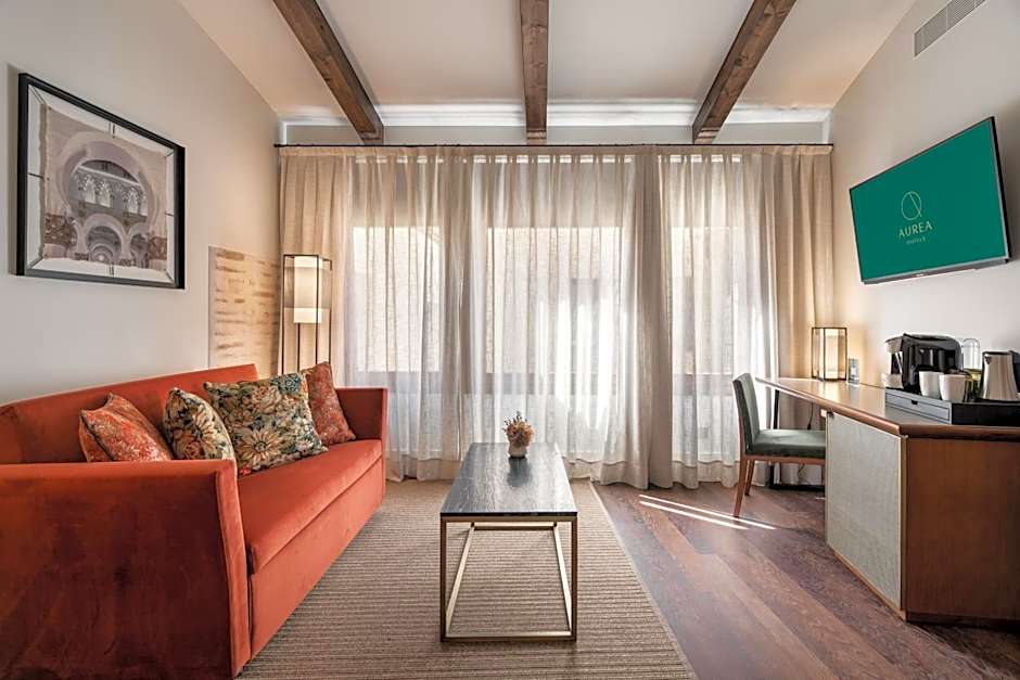 Áurea Toledo by Eurostars Hotel company