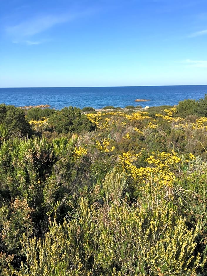 Camera vista mare, ingresso indipendente in" Villa VìVì"