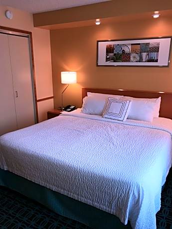 Room, 1 King Bed