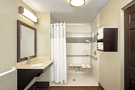 1 King Bed 1 Bdrm Suite Mobil Access Tub