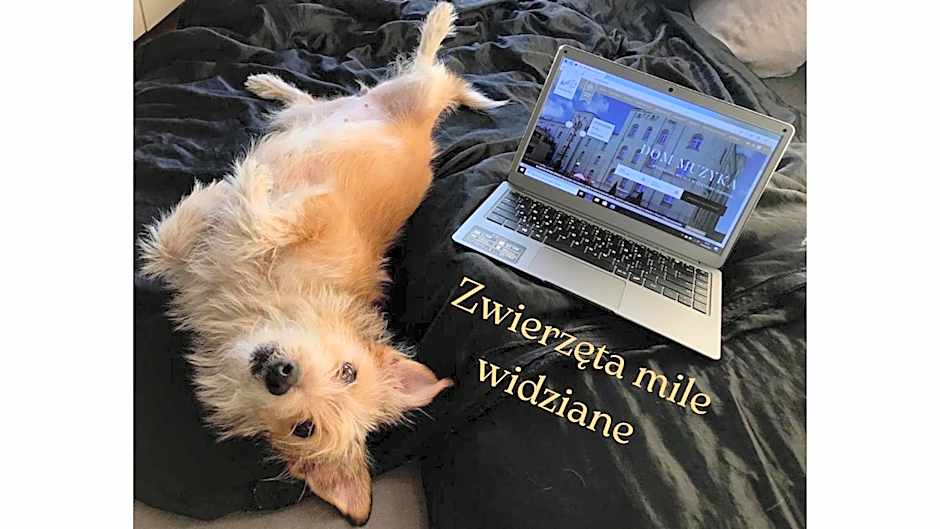 Dom Muzyka