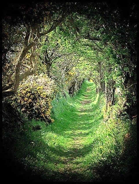 Ballymote Country House